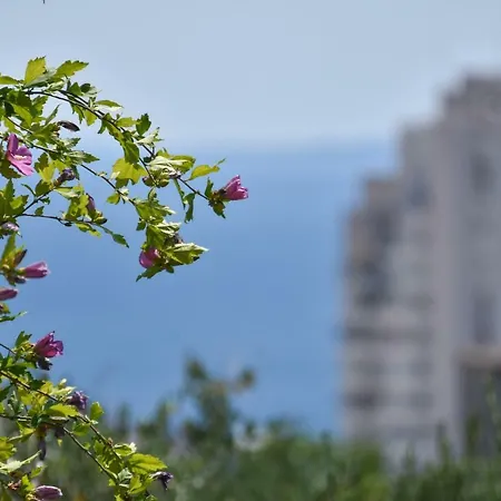 Apartmán Neyra Split