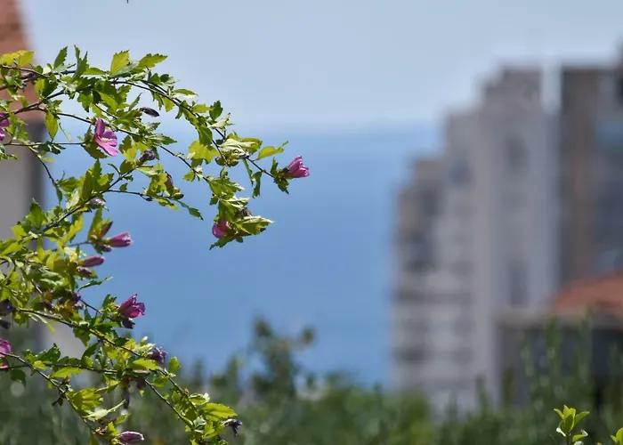 Apartman Neyra Split